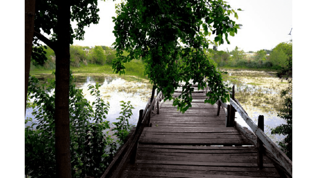 Obra de Emilia Aparecia Calixto Afrange