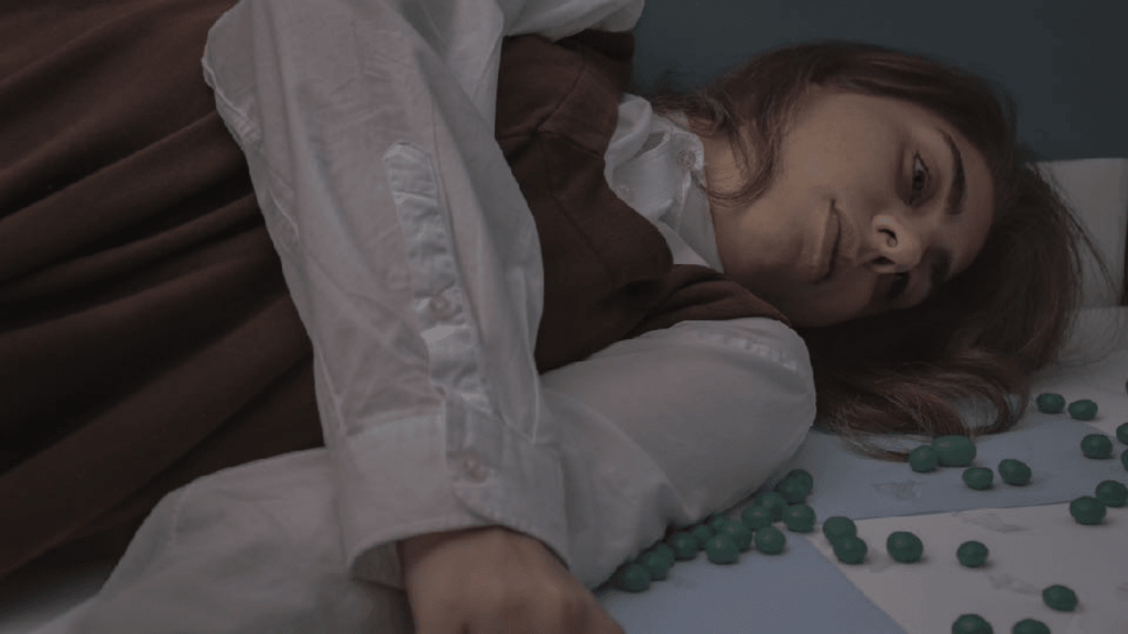 Obra de Emilia Aparecia Calixto Afrange