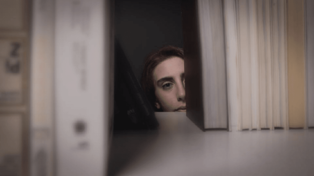 Obra de Emilia Aparecia Calixto Afrange