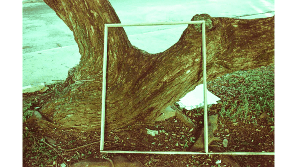 Obra de Gabriel Borrelli Ferreira Alves