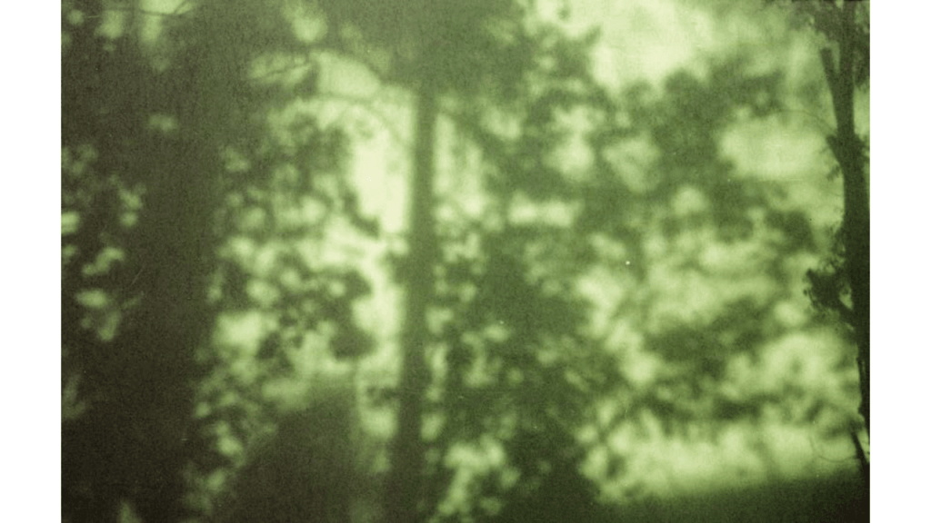 Obra de Gabriel Borrelli Ferreira Alves