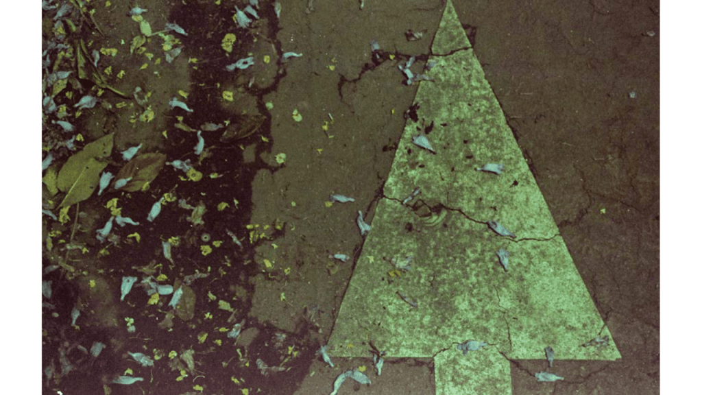 Obra de Gabriel Borrelli Ferreira Alves