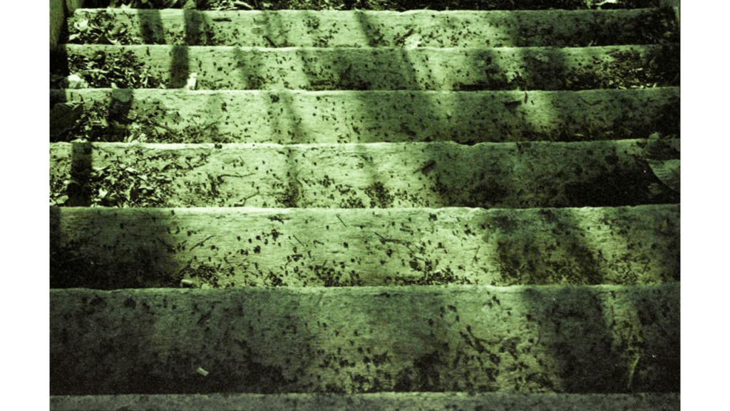 Obra de Gabriel Borrelli Ferreira Alves