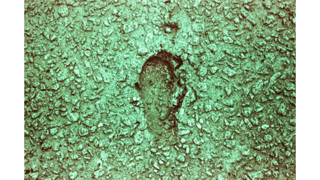 Obra de Gabriel Borrelli Ferreira Alves