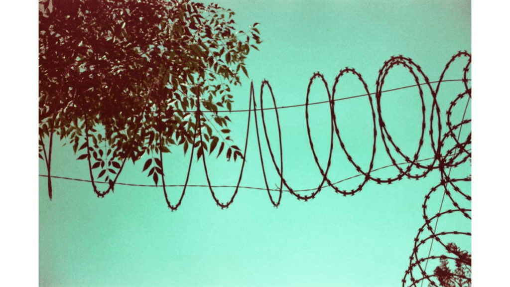 Obra de Gabriel Borrelli Ferreira Alves