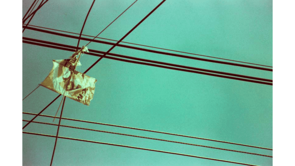 Obra de Gabriel Borrelli Ferreira Alves