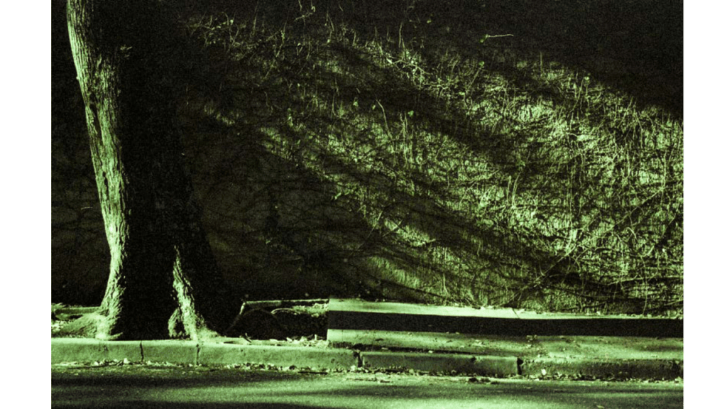 Obra de Gabriel Borrelli Ferreira Alves