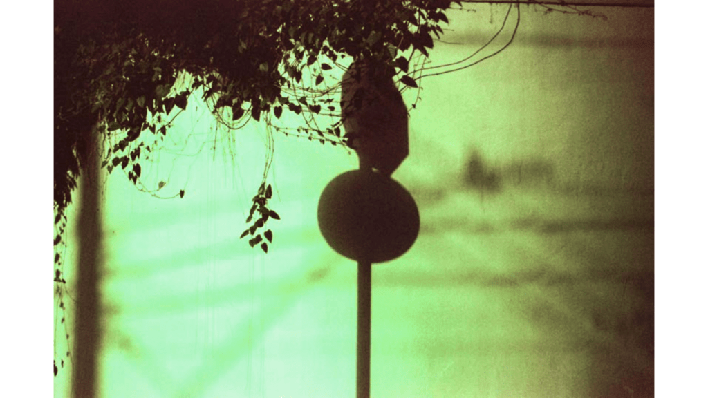 Obra de Gabriel Borrelli Ferreira Alves