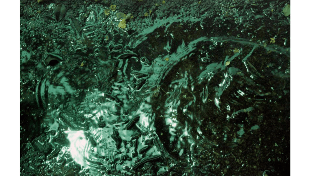 Obra de Gabriel Borrelli Ferreira Alves