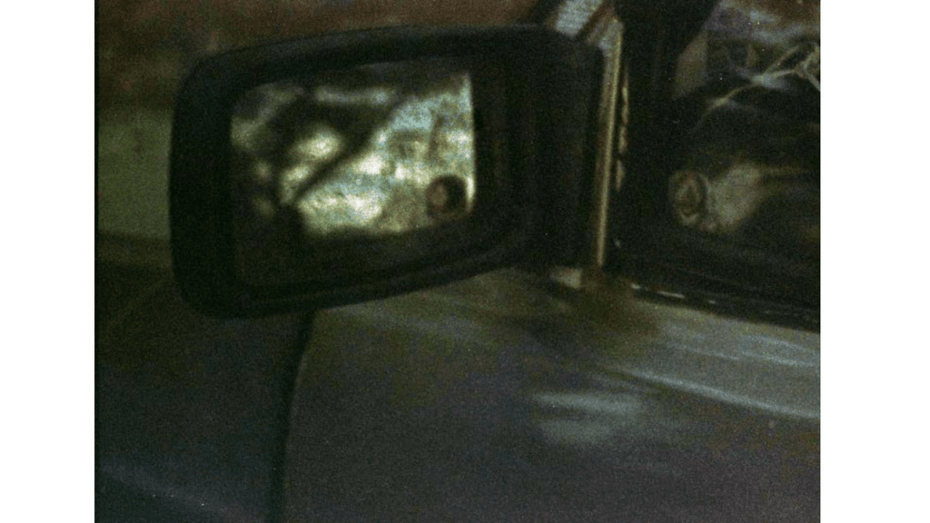 Obra de Gabriel Borrelli Ferreira Alves