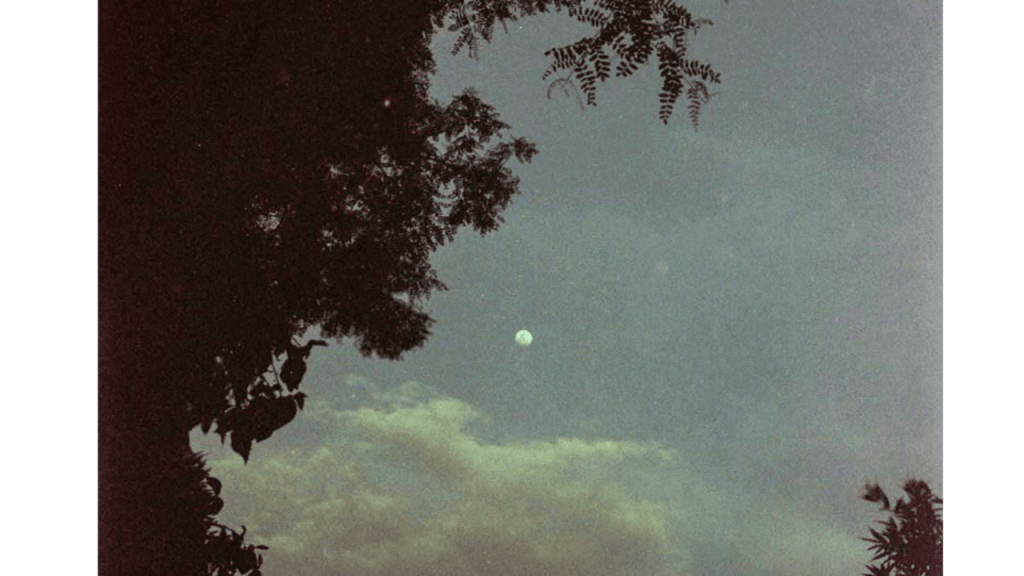 Obra de Gabriel Borrelli Ferreira Alves