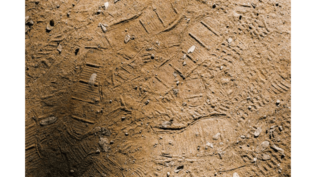 Obra de Gabriel Borrelli Ferreira Alves