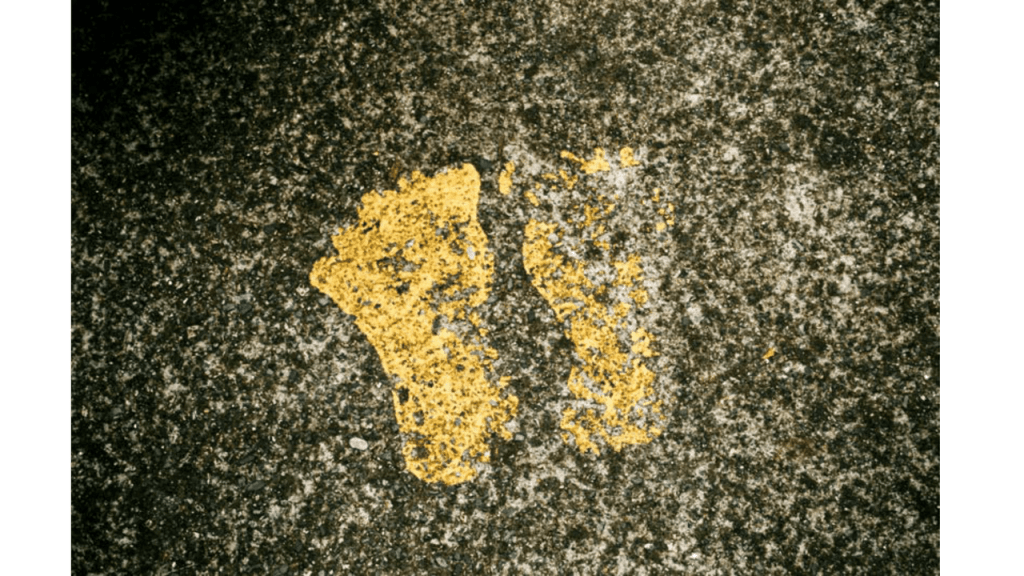 Obra de Gabriel Borrelli Ferreira Alves