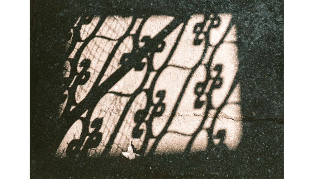 Obra de Gabriel Borrelli Ferreira Alves