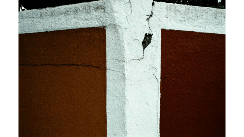 Obra de Gabriel Borrelli Ferreira Alves