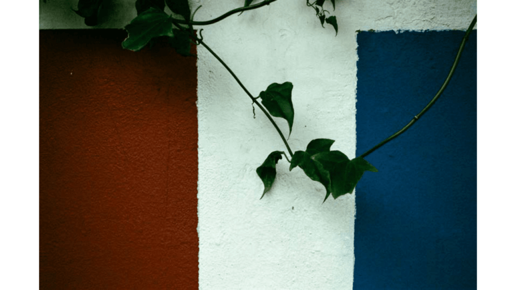 Obra de Gabriel Borrelli Ferreira Alves