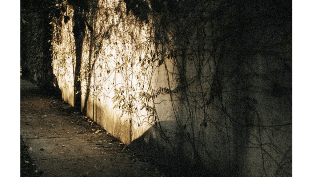 Obra de Gabriel Borrelli Ferreira Alves