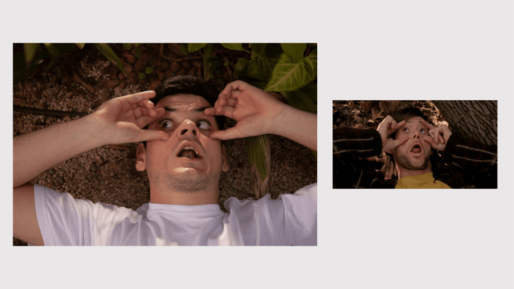 Obra de Gabriel Borrelli Ferreira Alves