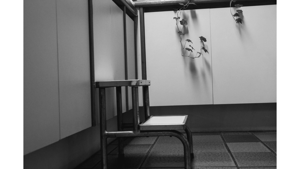 Obra de Gabriel Borrelli Ferreira Alves