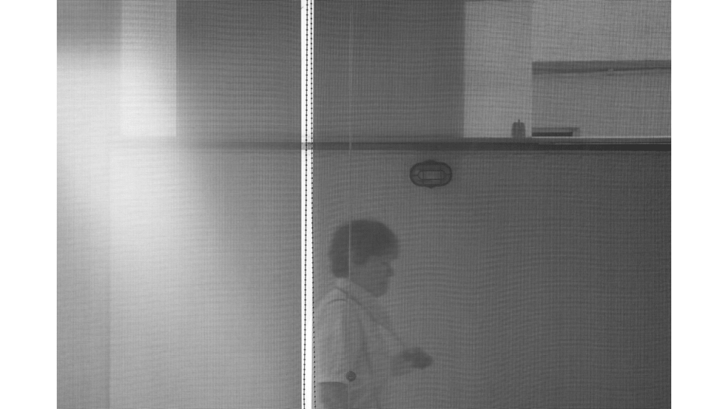 Obra de Gabriel Borrelli Ferreira Alves