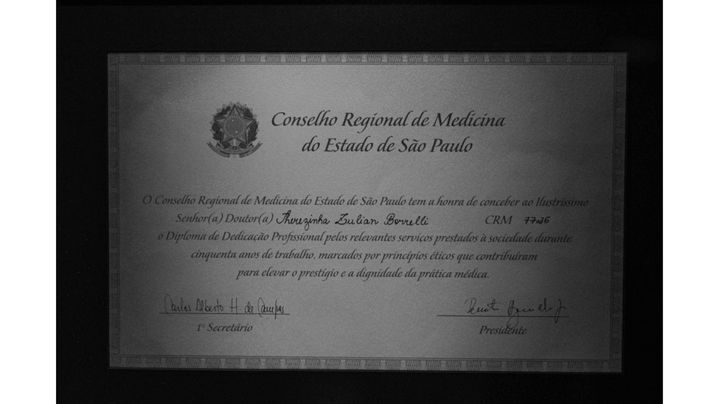 Obra de Gabriel Borrelli Ferreira Alves