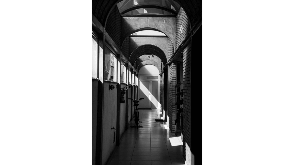 Obra de Gabriel Borrelli Ferreira Alves