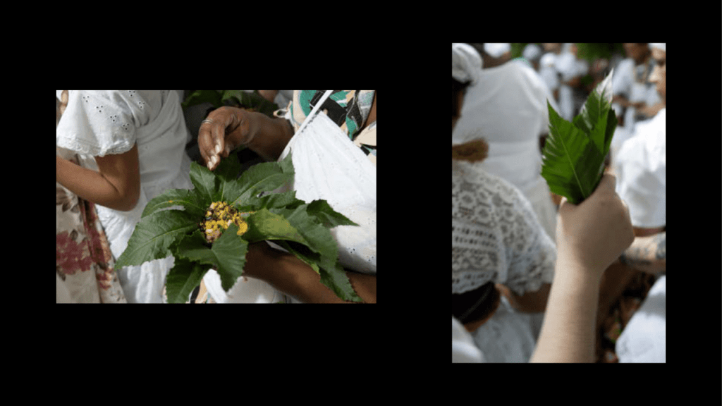 Obra de Gabriela Sitolini Amato