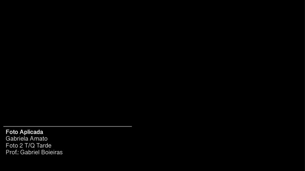 Obra de Gabriela Sitolini Amato