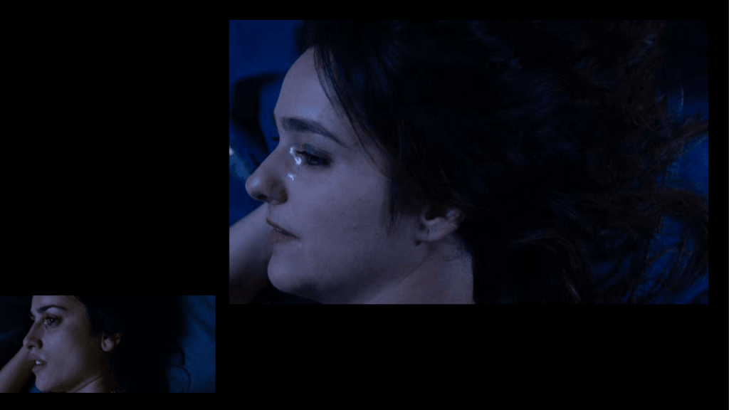 Obra de Gabriela Sitolini Amato