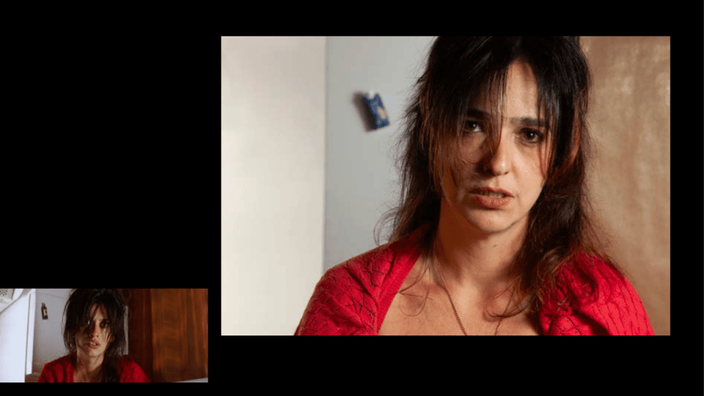 Obra de Gabriela Sitolini Amato