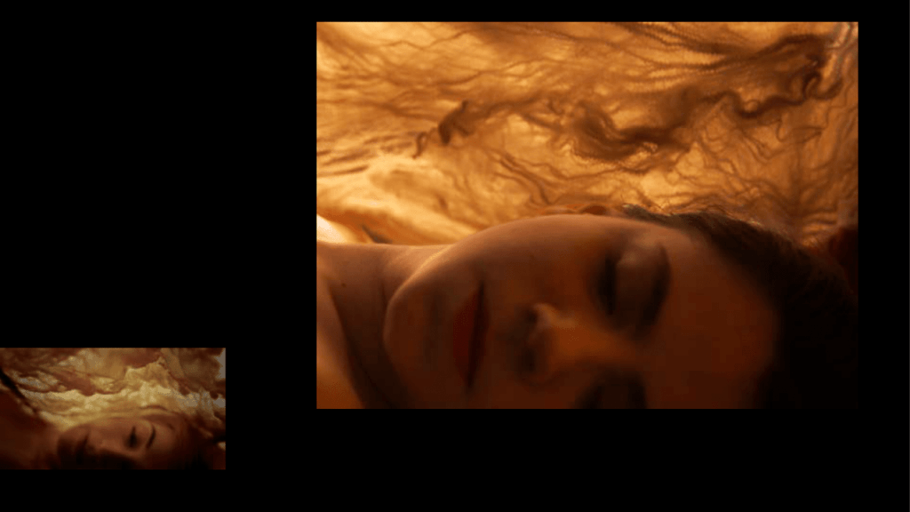 Obra de Gabriela Sitolini Amato