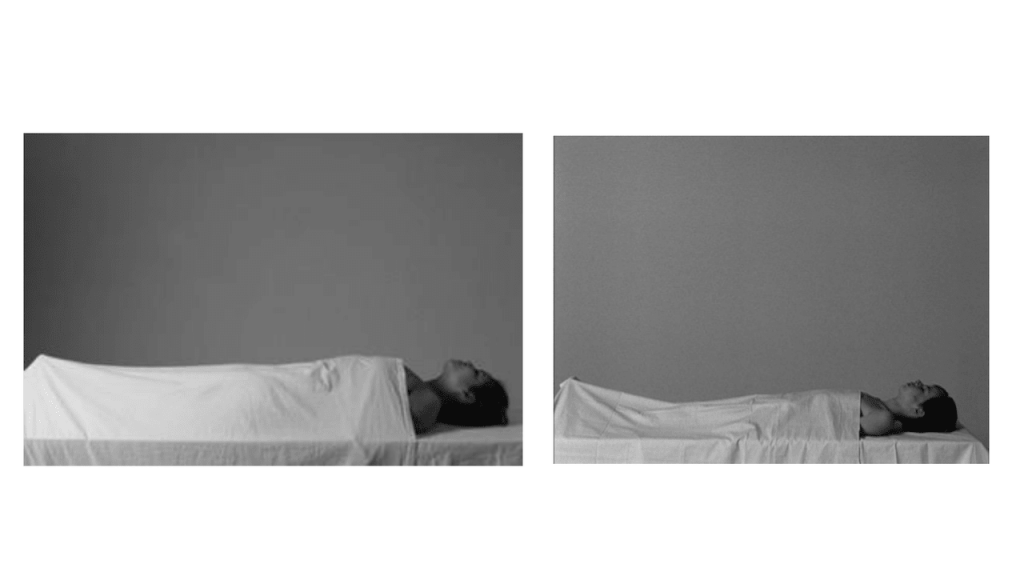 Obra de Leah Dalia Picciotto 