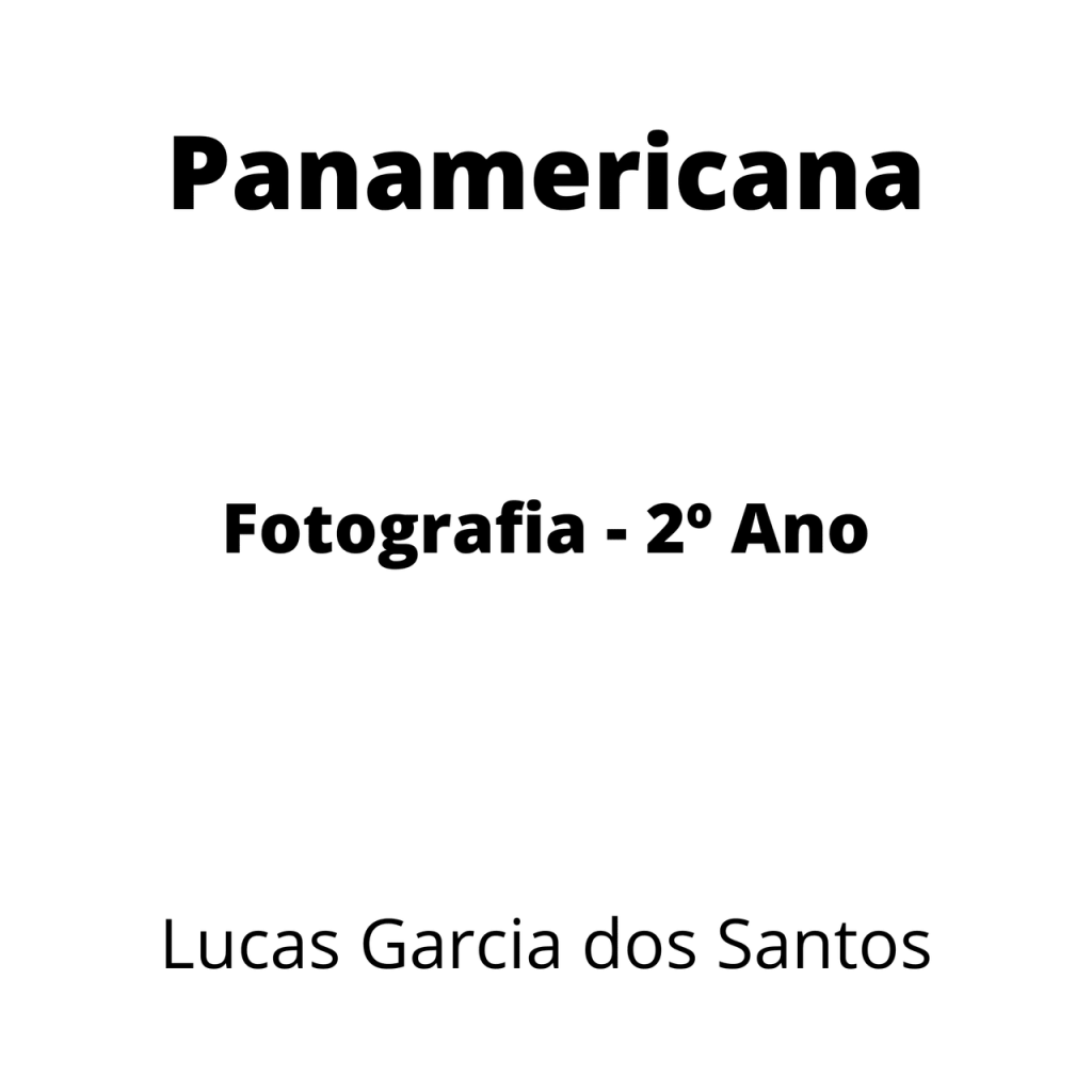 Obra de Lucas Garcia dos Santos 