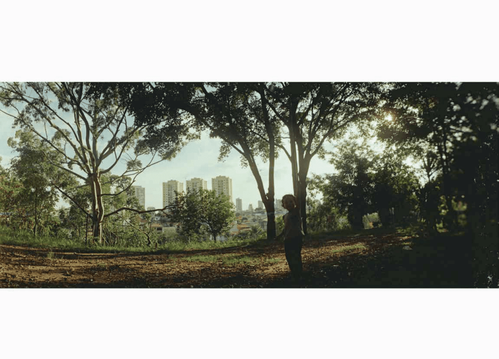 Obra de Luciano Nascimento Junior