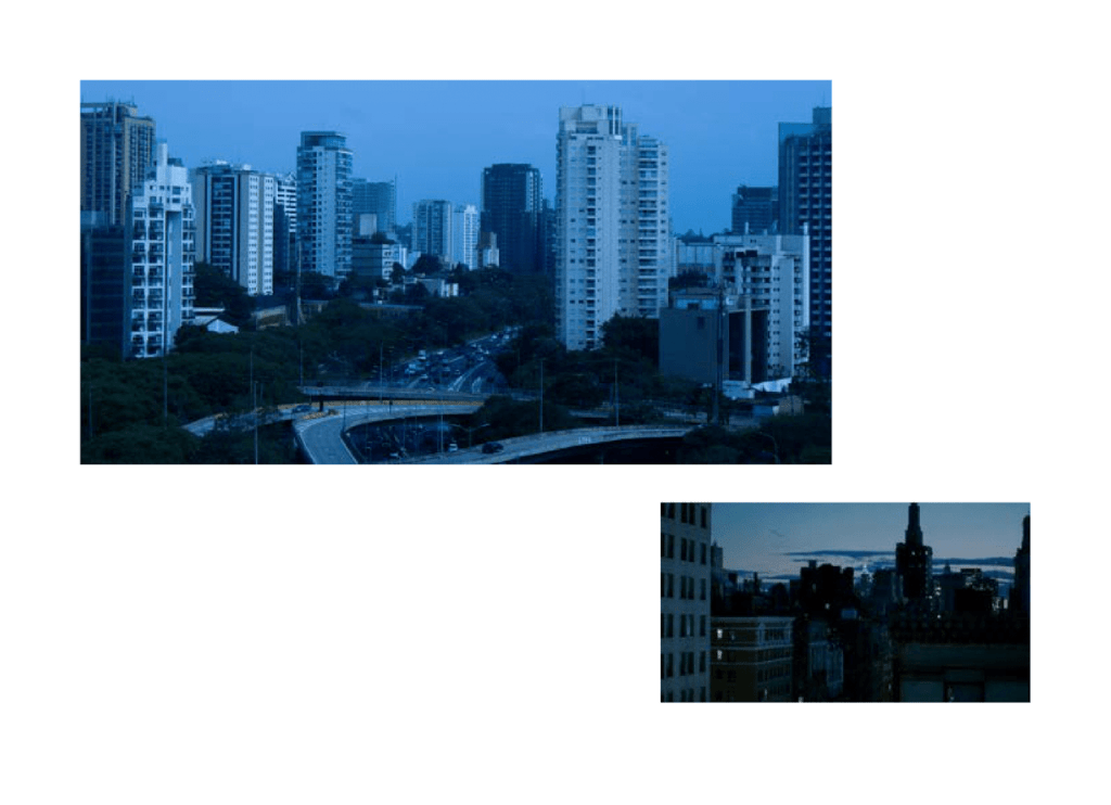 Obra de Manuela Costa da Gama