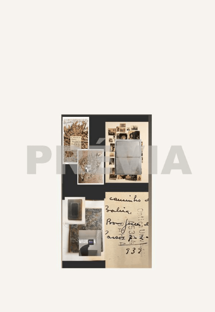 Obra de Manuela Costa da Gama
