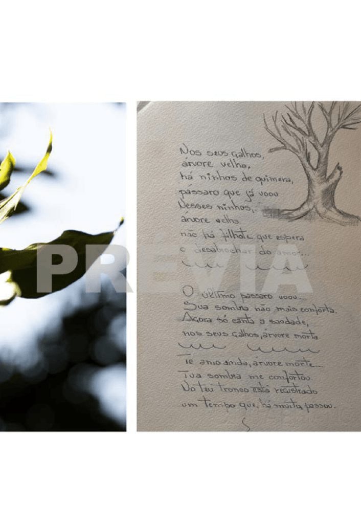 Obra de Manuela Costa da Gama