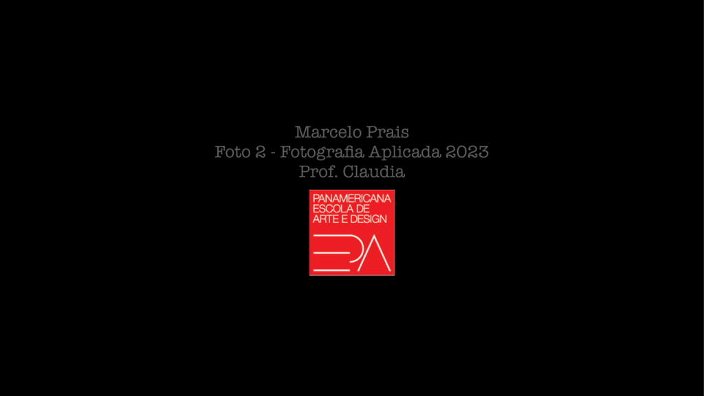 Obra de Marcelo Magno Plessmann Prais