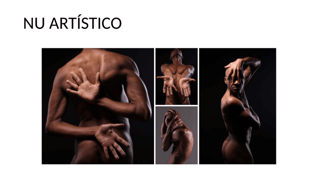 Obra de Fernanda Bolgheroni Gannam 