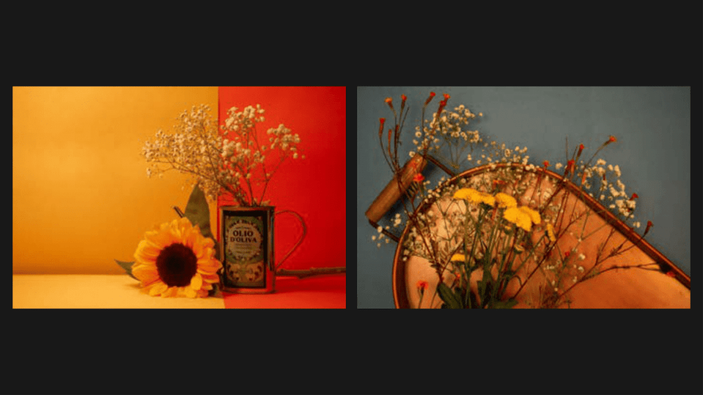 Obra de Luisa Caram dos Reis Oliveira