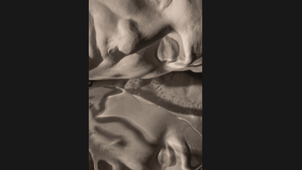 Obra de Pedro Paulo Cerqueira de Oliveira Rohl