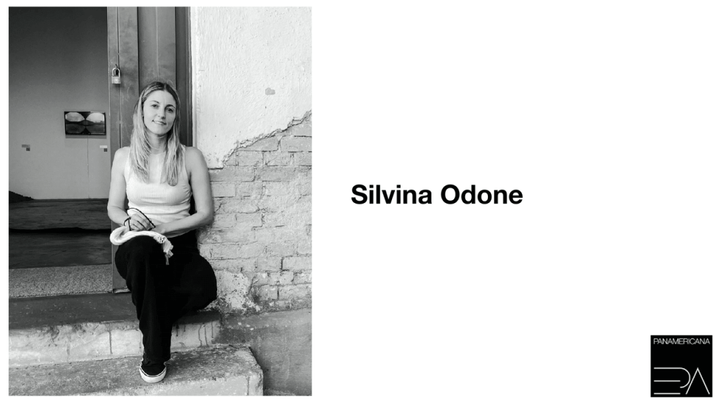 Obra de Silvina Andrea Odone 