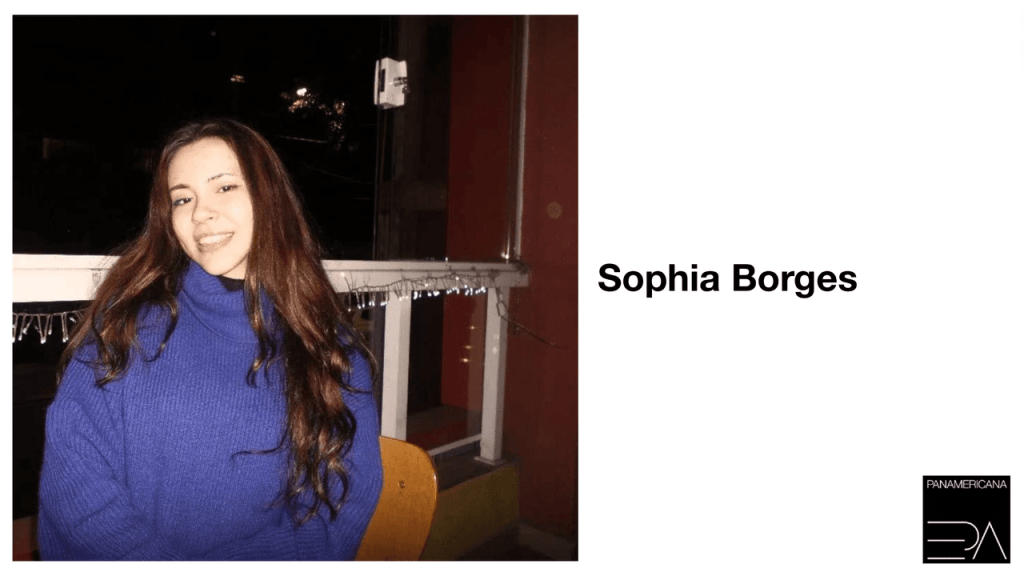 Obra de Sophia Pires de Lima 