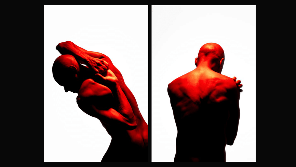 Obra de Thais Fullmann Dias 