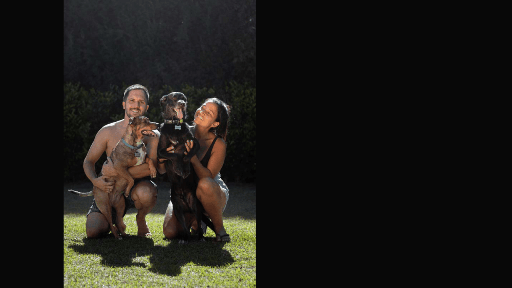 Obra de Thais Fullmann Dias 