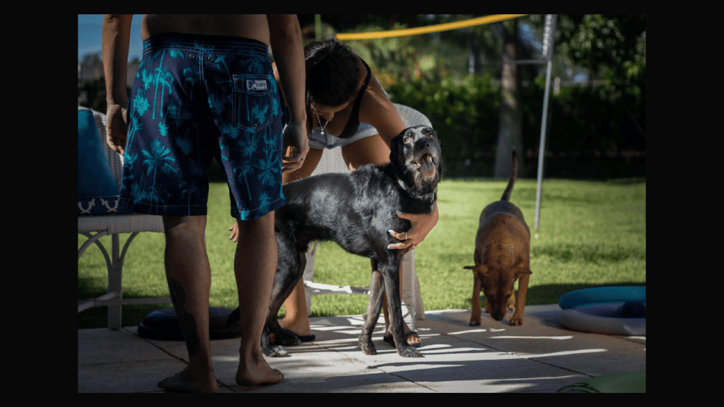 Obra de Thais Fullmann Dias 