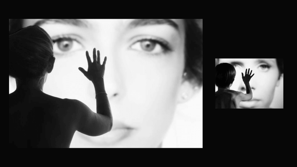 Obra de Thais Fullmann Dias 