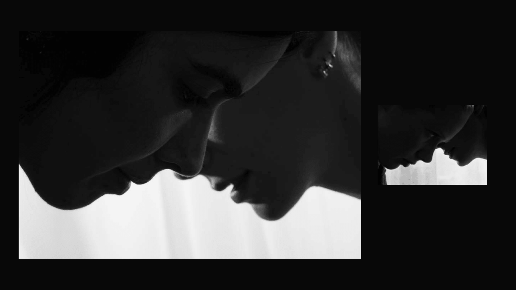 Obra de Thais Fullmann Dias 