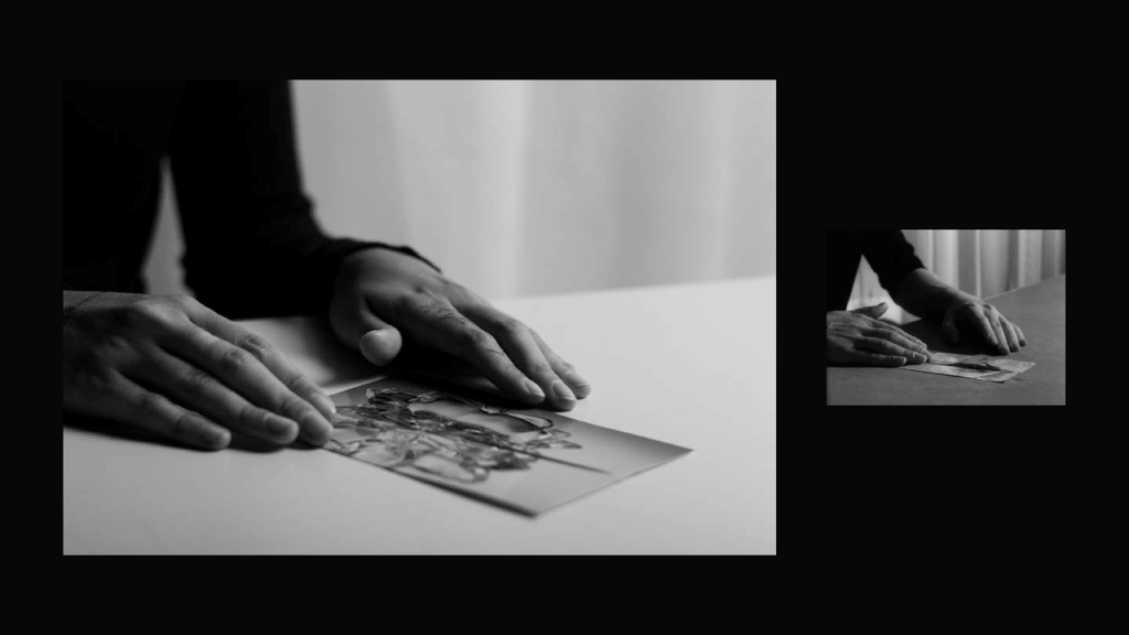 Obra de Thais Fullmann Dias 