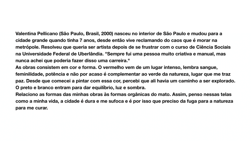 Obra de Valentina Savi Pellicano 